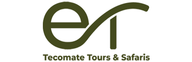 Tecomate-Main-Logo