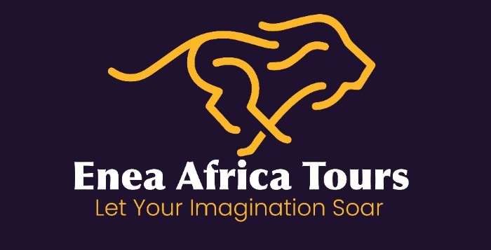 enea logo