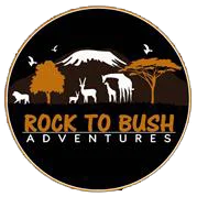 rock to bush